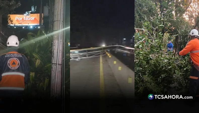 Fuertes vientos provocan la caída de árboles, ramas y vallas