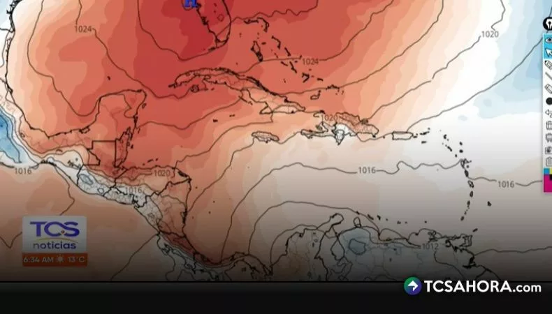 «El Ártico se está calentando, está agonizando»: Ricardo Navarro