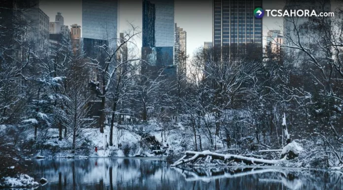 Las bajas temperaturas que se registran en Nueva York desde hace unas semanas causó al menos 13 muertes por hipotermia.