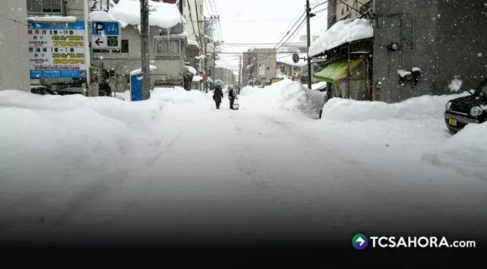 Al menos 35 personas han fallecido por una tormenta de nieve que lleva dos semanas afectando a varias zonas de Japón.