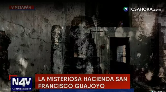 Ruinas y silencio envuelven la Hacienda San Francisco Guajoyo, marcada por una masacre y relatos que aún estremecen.
