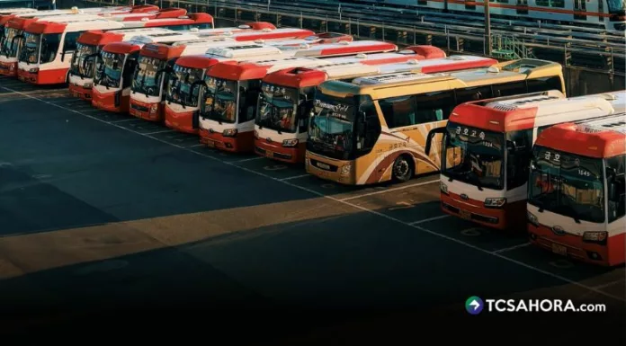 Dicen que prácticamente, están en paro técnico, pues han perdido unidades de transporte y el gobierno les adeuda $25 millones en compensación.