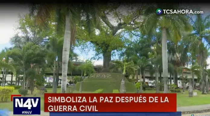 El Redondel Árbol de la Paz se alza como un símbolo de esperanza y memoria, con su ceiba marcando el paso del tiempo y la historia del país.