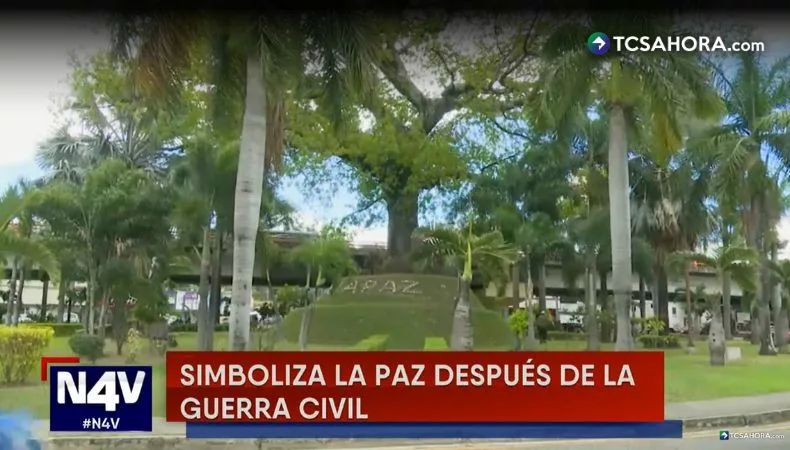 Redondel Árbol de la Paz: testigo silencioso de la transformación del país