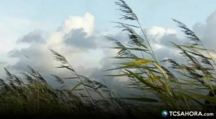 Según el Ministerio de Medio Ambiente, los vientos nortes y las bajas temperaturas continuarán afectando al país.