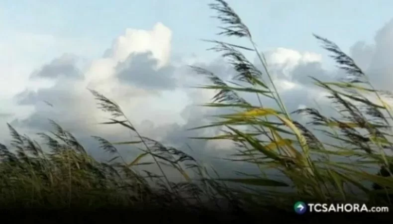 Vientos nortes y frío continuarán en los próximos días