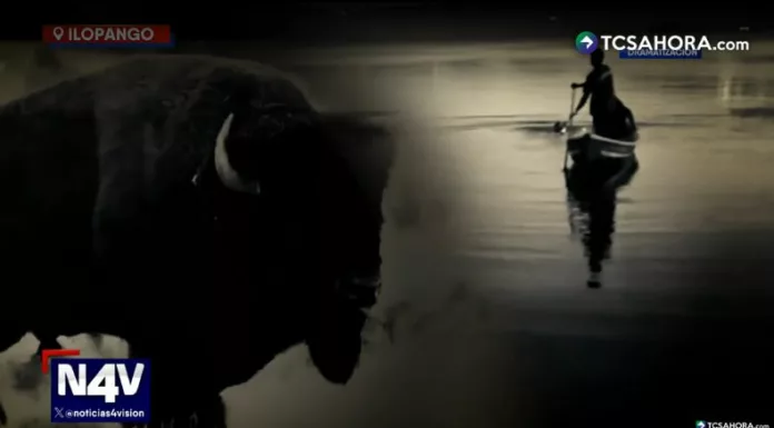 En el lago de Ilopango, la oscuridad revela una silueta enorme con forma de bisonte que los pescadores aseguran acecha desde la orilla, transformando la calma en terror.