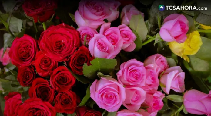 Para algunas personas expresar amor está acompañado de regalar flores y sobre todo, en el mes que se celebra el Día de San Valentín.