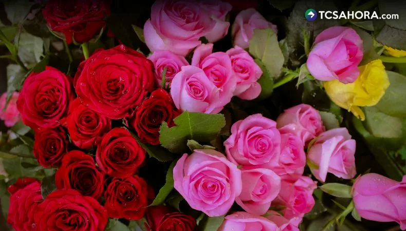 Expresar amor a través de las flores