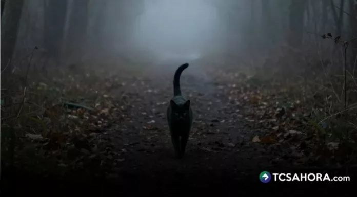 En El Salvador, algunas personas tienen superstición del viernes 13, otras simplemente creen que se trata de un día normal.