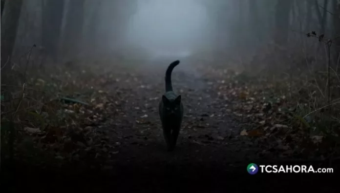 ¿Qué acciones debemos evitar un viernes 13 En El Salvador, algunas personas tienen superstición del viernes 13, otras simplemente creen que se trata de un día normal.