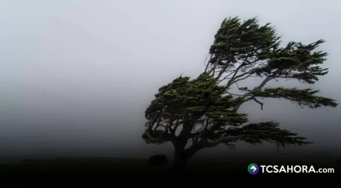Según el Ministerio de Medio Ambiente, los vientos nortes ingresarán al país el lunes 16 de febrero provocando descenso de temperaturas.