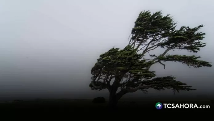Vientos nortes ingresarán el lunes al país Según el Ministerio de Medio Ambiente, los vientos nortes ingresarán al país el lunes 16 de febrero provocando descenso de temperaturas.