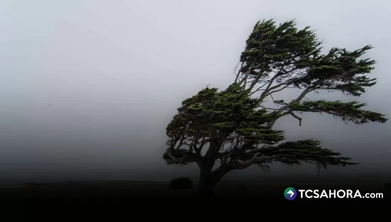 Vientos nortes ingresarán el lunes al país