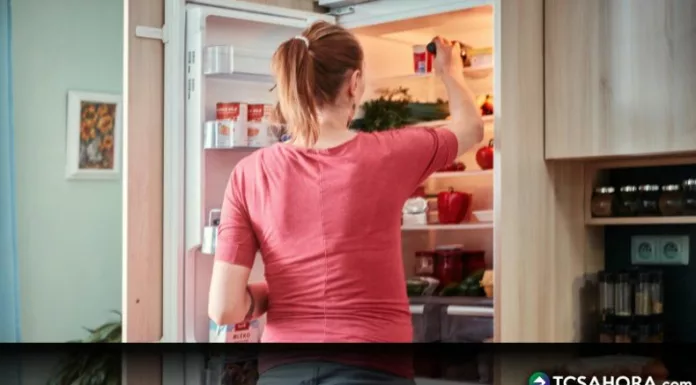 Pequeños errores al guardar comida en la refrigeradora pueden provocar diarrea, vómitos e incluso hospitalizaciones.