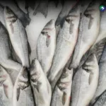 El Omega-3 y los beneficios que aporta a la salud