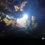 Hombre falleció tras caer al río Acelhuate