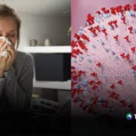 Estados Unidos refuerza vigilancia ante circulación de metaneumovirus humano