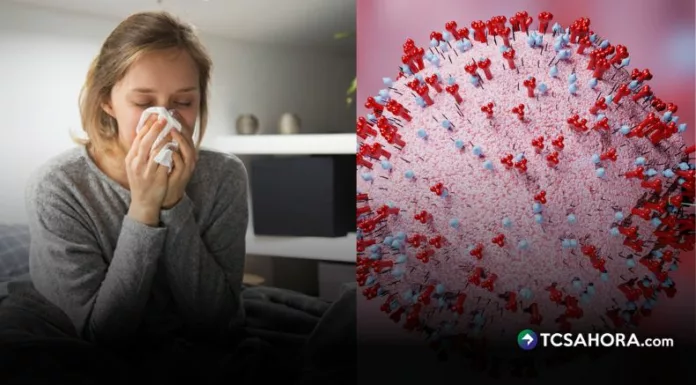 En Estados Unidos siguen de cerca el metaneumovirus humano, un virus respiratorio que puede afectar con mayor gravedad a niños y adultos mayores.