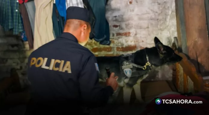 La Fiscalía y la PNC ejecutaron un operativo para desarticular una estructura criminal vinculada al narcotráfico.