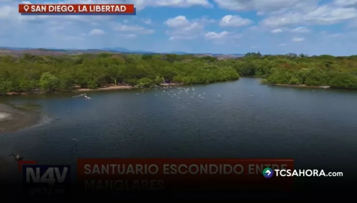 A pocos metros de la playa San Diego, este rincón combina tranquilidad, gastronomía y recorridos en lancha entre manglares.