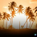 Cuidados básicos para la salud durante el periodo vacacional