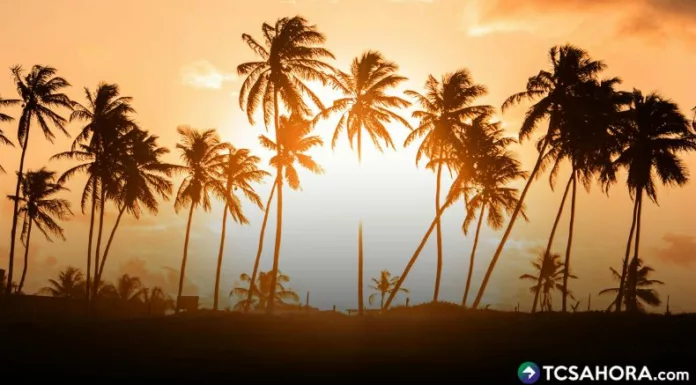 El doctor Emilio Salazar, compartió recomendaciones básicas para el cuidado de la salud, en el periodo vacacional de Semana Santa.