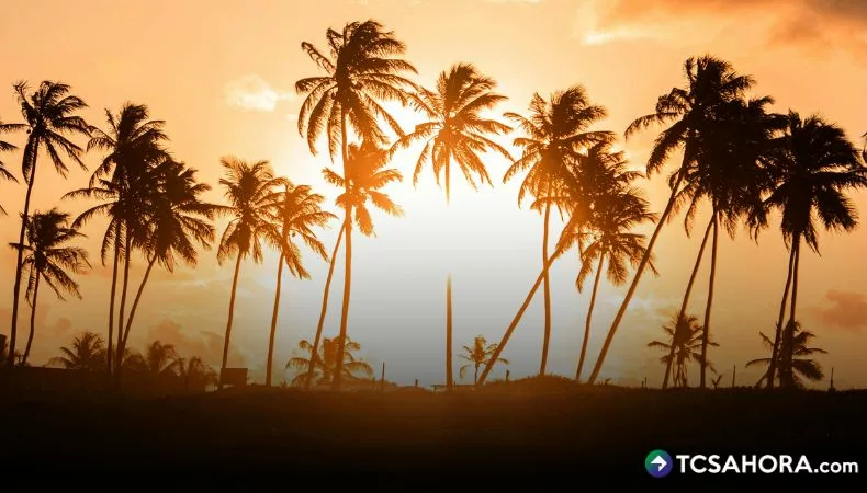 Cuidados básicos para la salud durante el periodo vacacional