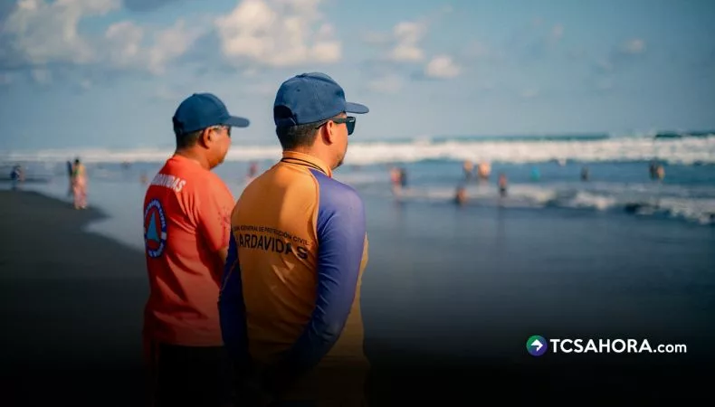 Kế Hoạch Mùa Hè 2026: Số Vụ Cháy Và Cứu Hộ Giảm Mạnh, An Toàn Được Đảm Bảo