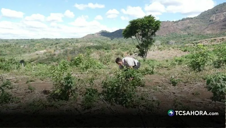 Phân tích kèo thẻ phạt trong bóng đá