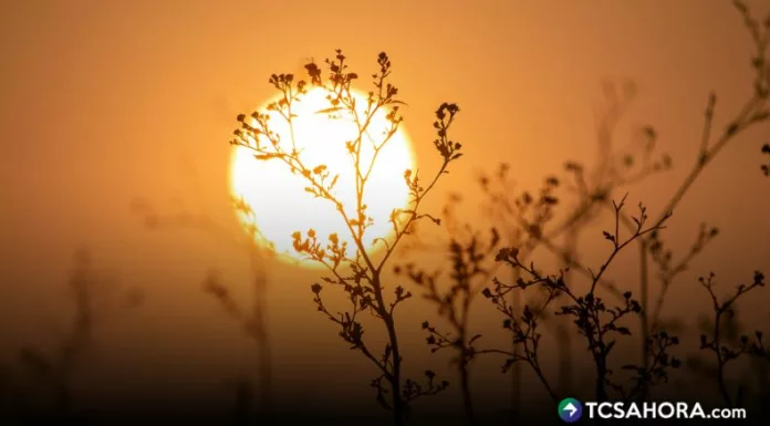 Medio Ambiente ya maneja una posible nueva ola de calor para los próximos días en El Salvador. Las temperaturas serán extremas.