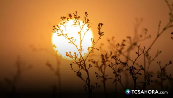 Medio Ambiente ya maneja una posible nueva ola de calor para los próximos días en El Salvador. Las temperaturas serán extremas.