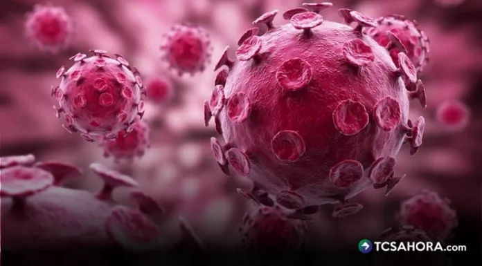 La vacunación se posiciona como una de las herramientas más eficaces para la prevención del Virus del Papiloma Humano.