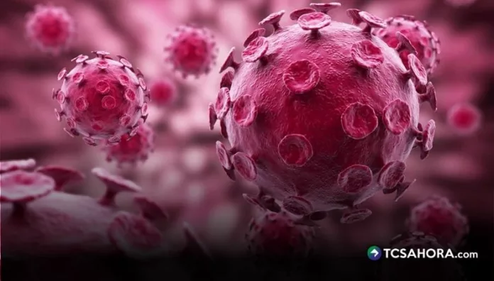 La vacunación se posiciona como una de las herramientas más eficaces para la prevención del Virus del Papiloma Humano.