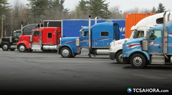 Presidente de ASTIC dice que él no absorberá pérdidas. Sugiere a transportistas ser consciente en alzas a fletes, por aumento a combustibles.