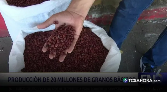 La siembra se plantea entre el 21 y el 25 de abril para anticiparse a una sequía en julio. Productores coinciden, pero otros advierten riesgos por falta de humedad.