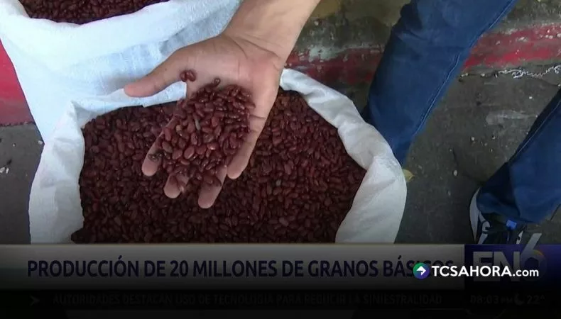 MAG recomienda iniciar siembra de granos básicos en abril