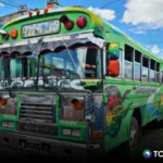 Transportistas piden que les den techo a precio de diésel y liberar tarifas