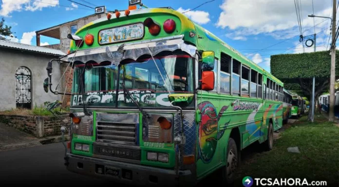 Además de las propuestas de los transportistas, el gobierno se comprometió a cancelarles el total de la deuda de la compensación o subsidio.