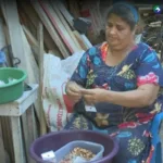 Extraer semillas de forma artesanal, un arte que pocos conocen