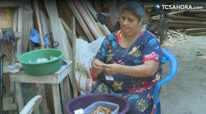 Extraer semillas de almendras de una manera artesanal es una tradición de más de cuatro décadas en la familia de María Chávez.