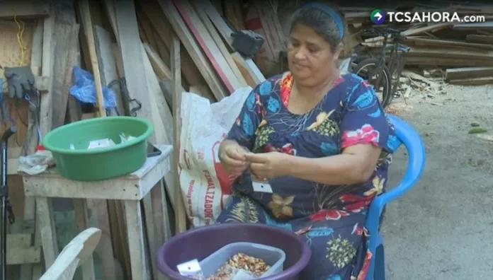 Extraer semillas de almendras de una manera artesanal es una tradición de más de cuatro décadas en la familia de María Chávez.