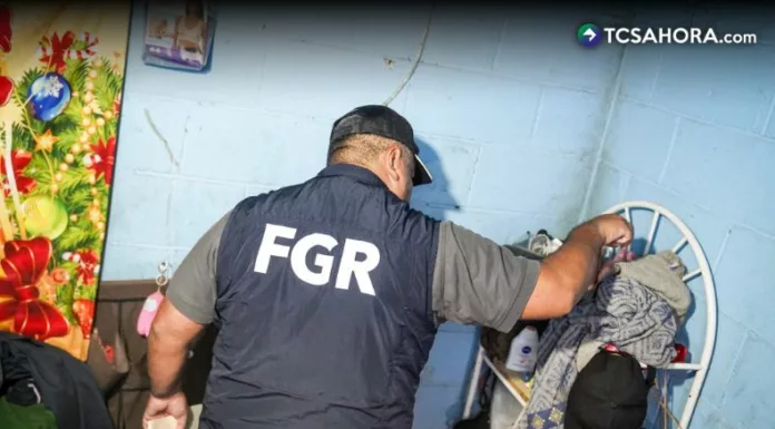 La estructura estaba integrada por al menos cinco personas, entre ellas un menor de edad, según informó la FGR.