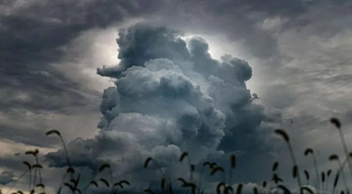 Expertos en meteorología advierten la posibilidad que este año el fenómeno de el Niño se transforme en el Súper Niño, con efectos climáticos devastadores.