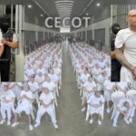 El Diablito de Hollywood y El Sirra, violentos líderes de la MS-13