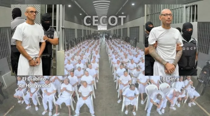 El Diablito de Hollywood y El Sirra, líderes de la MS-13, nacieron en El Salvador, emigraron a EEUU, iniciaron carrera criminal y retornaron deportados.