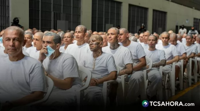 Este jueves se llevó a cabo la tercera audiencia contra 486 miembros y cabecillas de la Mara Salvatrucha en el CECOT y otros centros penitenciarios.