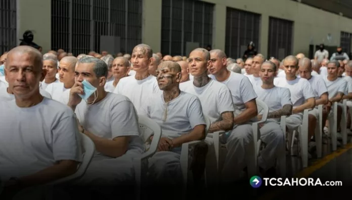 Este jueves se llevó a cabo la tercera audiencia contra 486 miembros y cabecillas de la Mara Salvatrucha en el CECOT y otros centros penitenciarios.