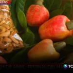 El marañón como fuente de ingreso en la isla Montecristo