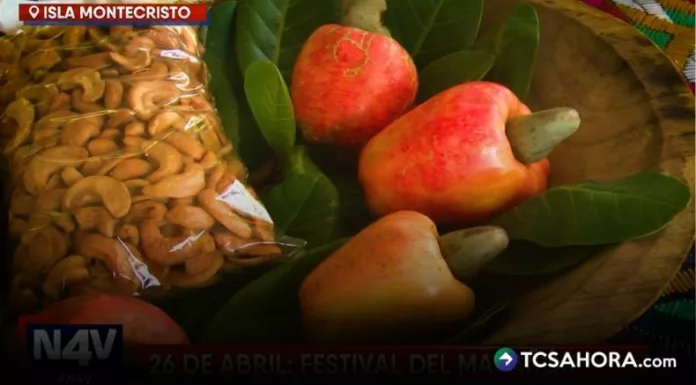 La semilla de marañón es uno de los productos más cotizados en la isla Montecristo, lo que beneficia económicamente a la comunidad.